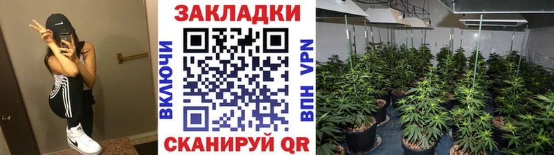 Все наркотики Казань АМФЕТАМИН кракен как войти Конопля ГАШИШ Псилоцибиновые грибы COCAIN Alpha-PVP