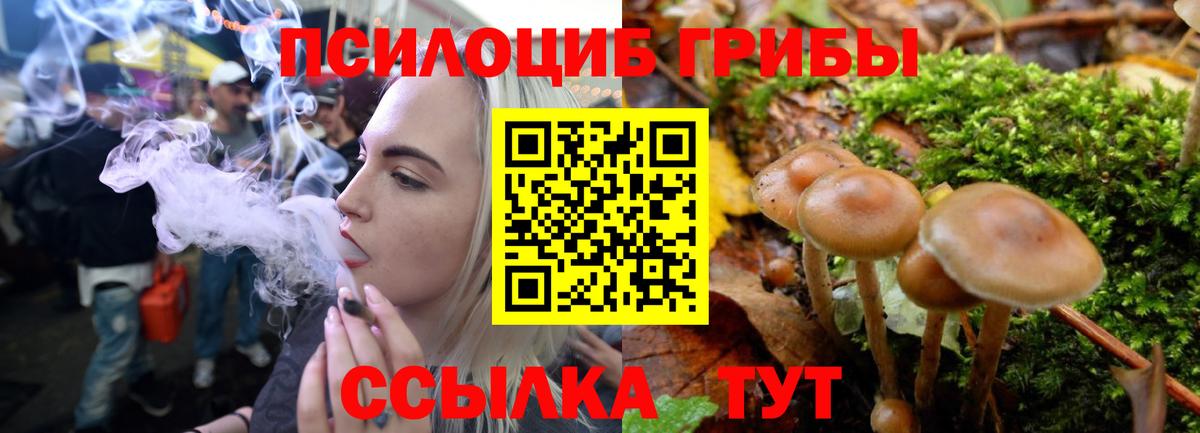 Казань  Псилоцибиновые грибы GOLDEN TEACHER  Вход с VPN  хочу наркоту  Галлюциногенные грибы мицелий 